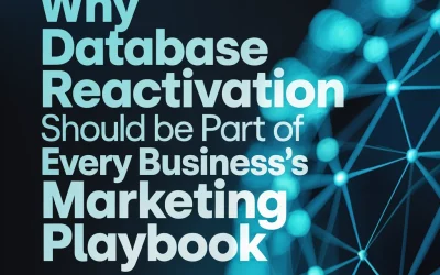 Why Database Reactivation Should Be Part of Every Business’s Marketing Playbook